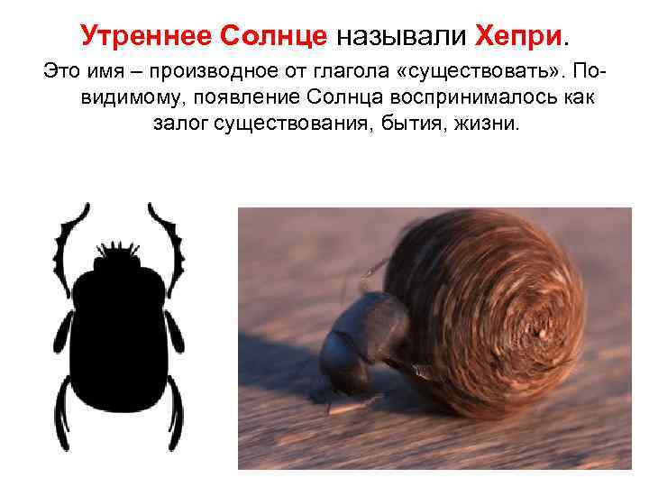   Утреннее Солнце называли Хепри.  Это имя – производное от глагола «существовать»