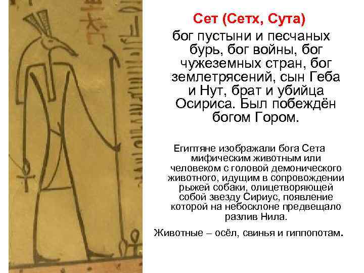  Сет (Сетх, Сута) бог пустыни и песчаных  бурь, бог войны, бог чужеземных