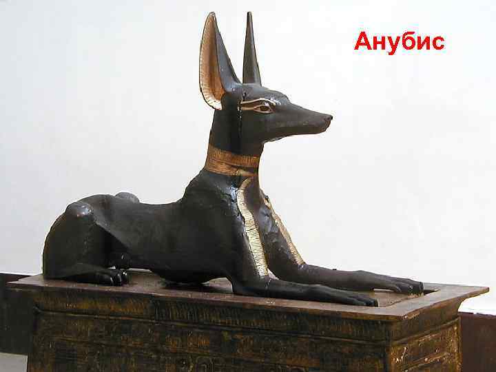 Анубис 