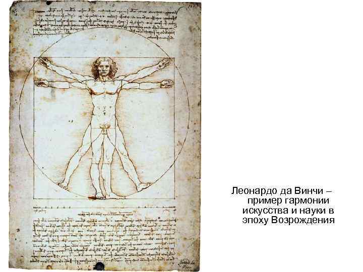 Леонардо да Винчи –  пример гармонии  искусства и науки в  эпоху