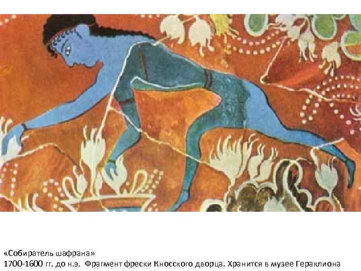  «Собиратель шафрана» 1700 -1600 гг. до н. э.  Фрагмент фрески Кносского дворца.