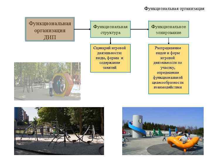       Функциональная организация  Функциональная  Функциональное организация 