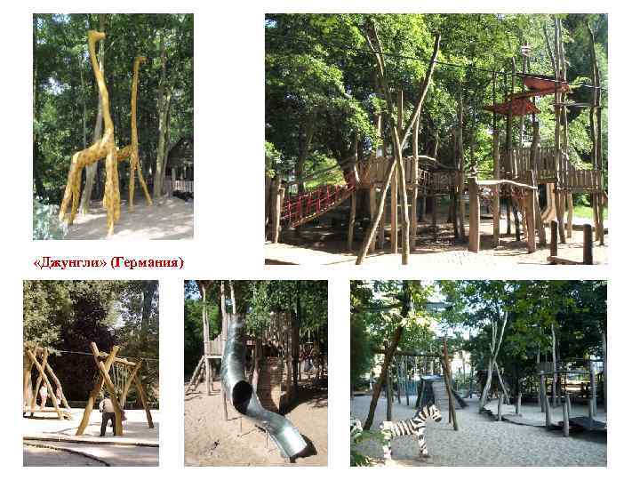  «Джунгли» (Германия)  «Джунгли» 