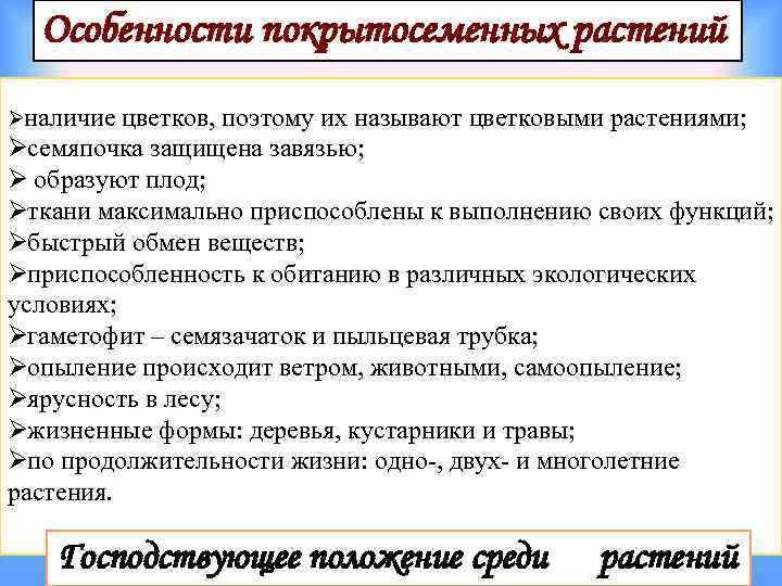  Особенности покрытосеменных растений Øналичие цветков, поэтому их называют цветковыми растениями; Øсемяпочка защищена завязью;