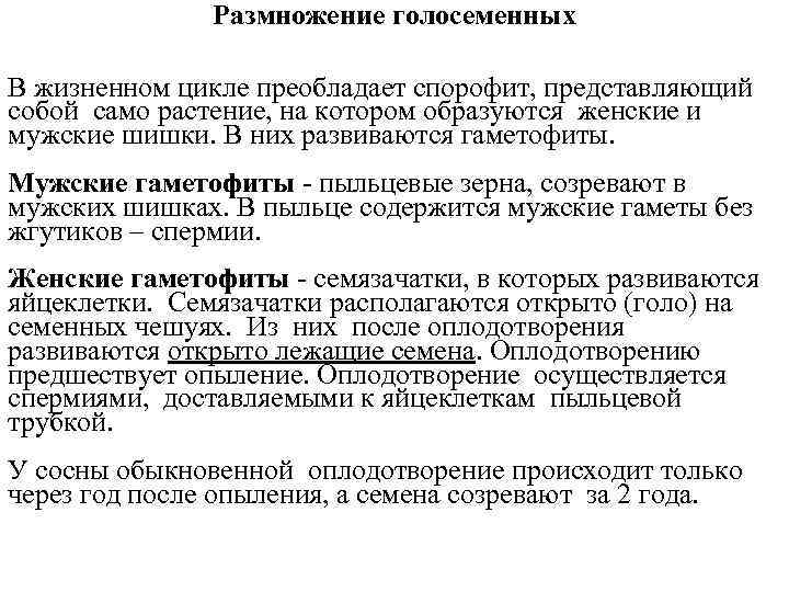     Размножение голосеменных В жизненном цикле преобладает спорофит, представляющий собой само