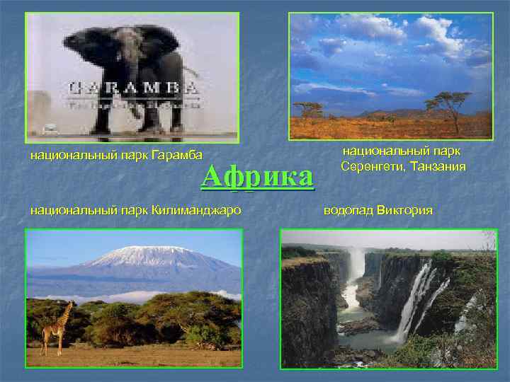 национальный парк Гарамба   национальный парк     Африка Серенгети, Танзания