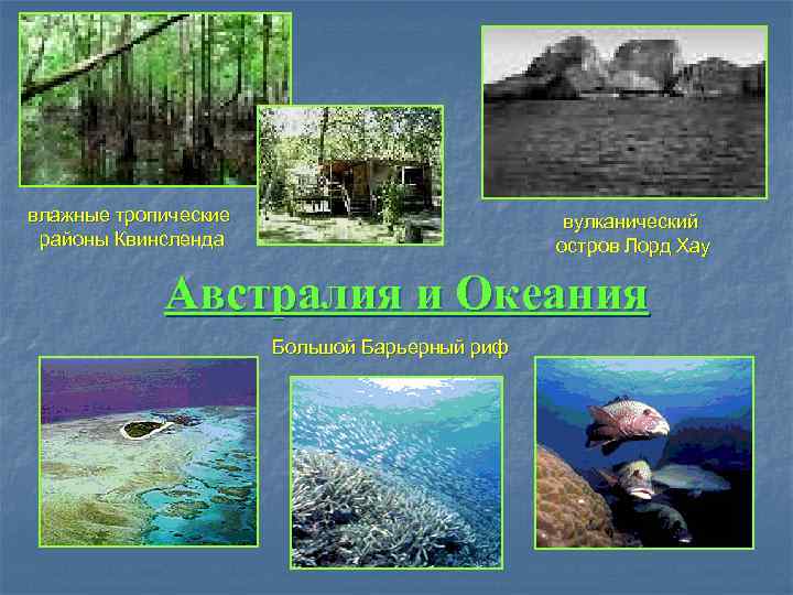 влажные тропические      вулканический районы Квинсленда    