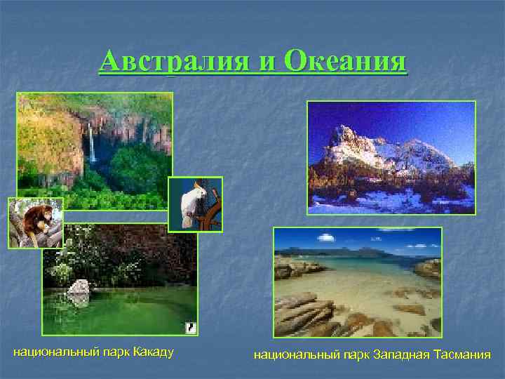   Австралия и Океания национальный парк Какаду  национальный парк Западная Тасмания 