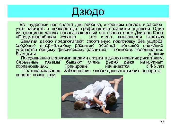        Дзюдо   Вот чудесный вид спорта