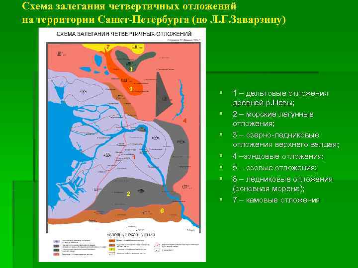 Схема залегания четвертичных отложений на территории Санкт-Петербурга (по Л. Г. Заварзину)   7