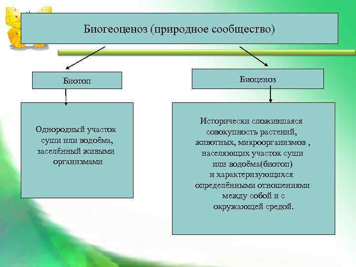   Биогеоценоз (природное сообщество)   Биотоп     