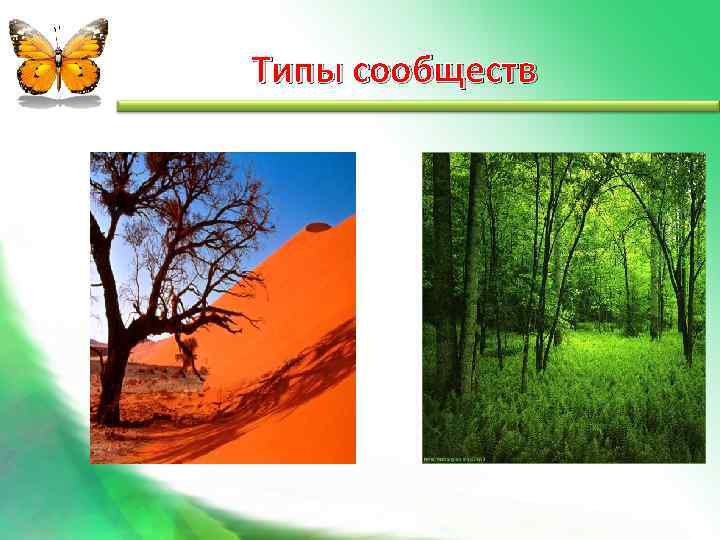 Типы сообществ 