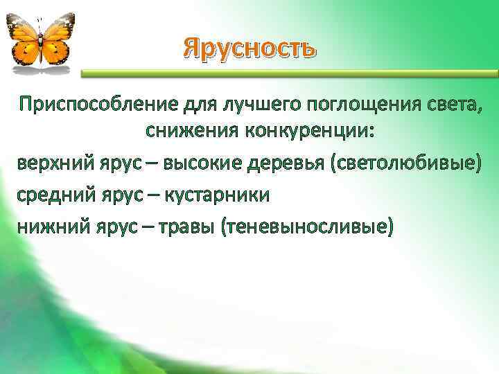     Ярусность Приспособление для лучшего поглощения света,    снижения