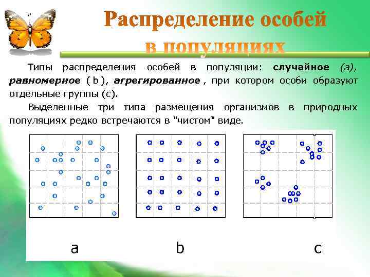 Типы распределения