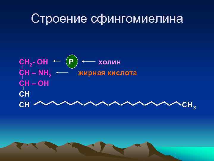  Строение сфингомиелина  СН 2 - ОН  Р  холин СН –