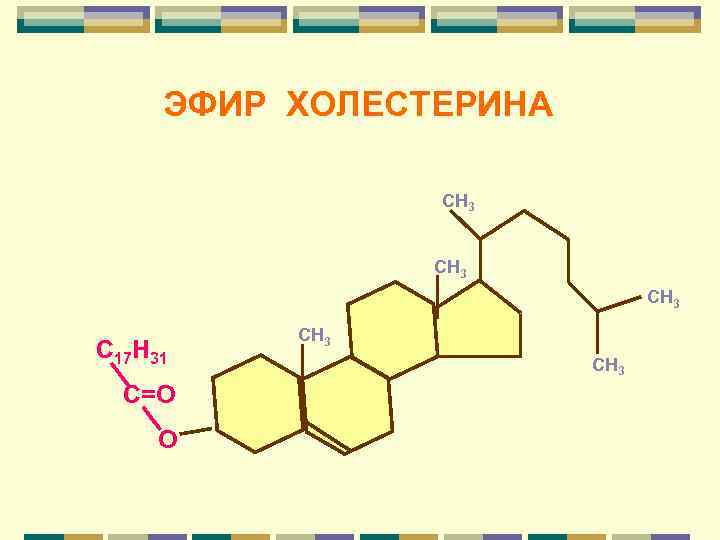  ЭФИР ХОЛЕСТЕРИНА   СН 3      СН 3