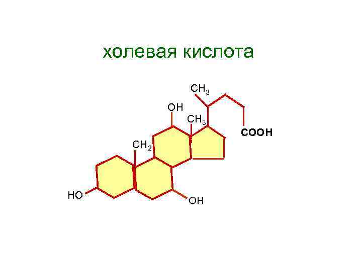  холевая кислота    СН 3   ОН   