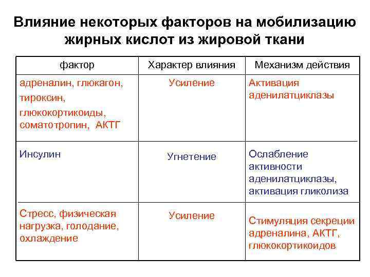 Влияние некоторых факторов на мобилизацию  жирных кислот из жировой ткани   фактор