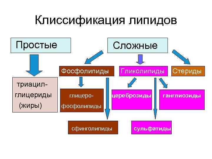   Клиссификация липидов Простые     Сложные   Фосфолипиды 