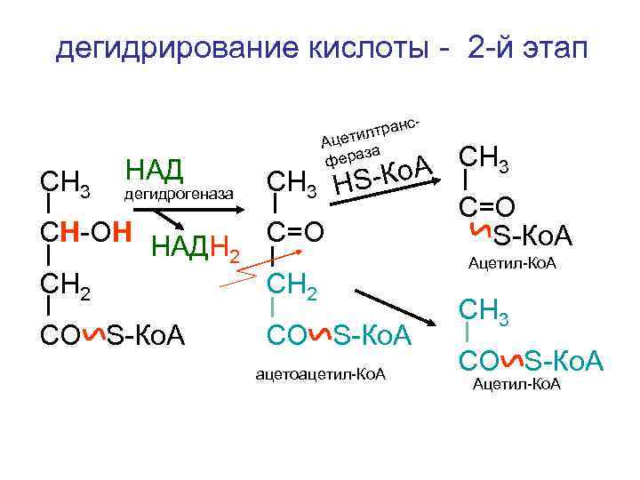 дегидрирование кислоты - 2 -й этап    с-    