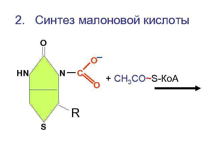 2. Синтез малоновой кислоты О    О НN  N  С