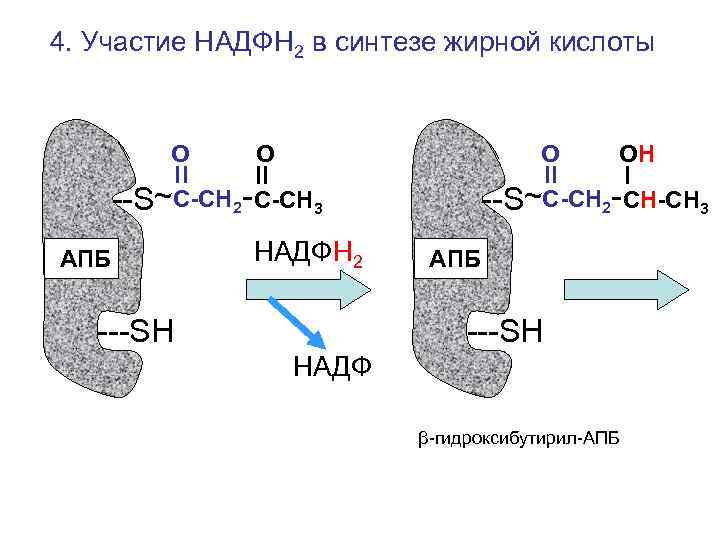 4. Участие НАДФН 2 в синтезе жирной кислоты   О О  