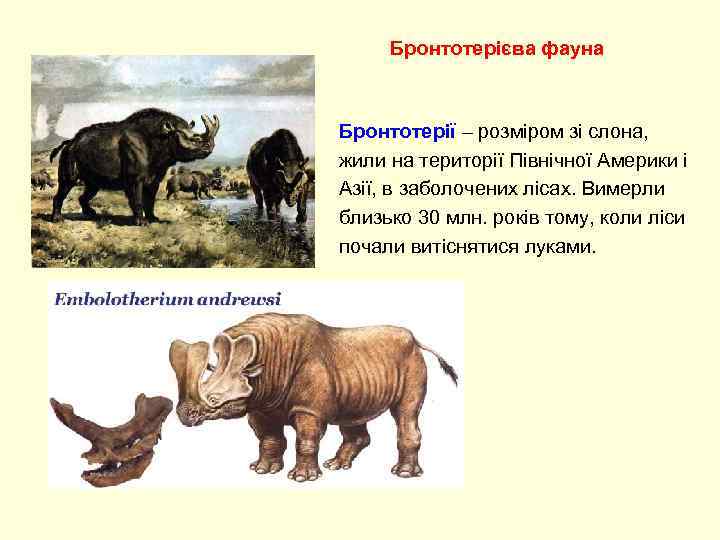  Бронтотерієва фауна  Бронтотерії – розміром зі слона,  жили на території Північної