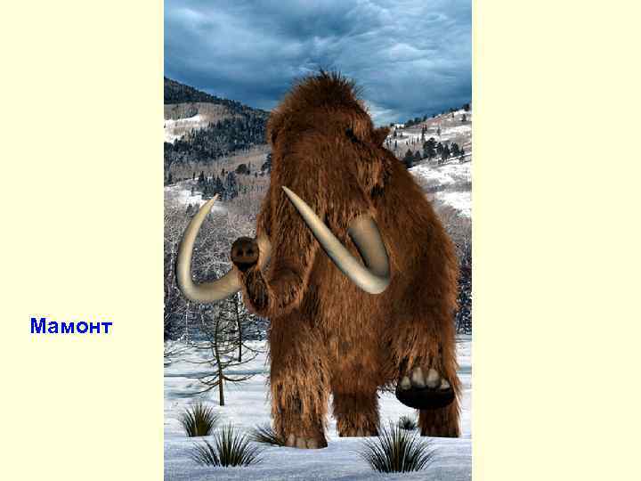 Мамонт 