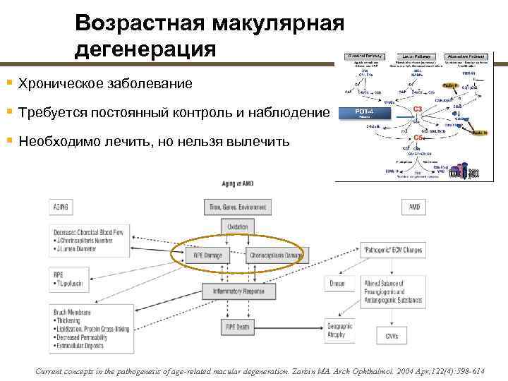     Возрастная макулярная    дегенерация § Хроническое заболевание §