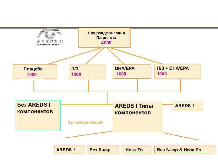       39  1 ая рандомизация   Пациенты
