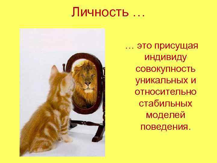 Личность …   … это присущая   индивиду  совокупность  