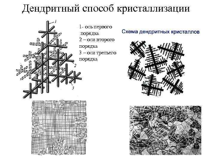 Как называются структуры изображенные на рисунке. Дендритная кристаллизация металлов схема. Схема кристаллизации дендритов. Дендритное строение кристаллов. Схема дендритного роста кристаллов.