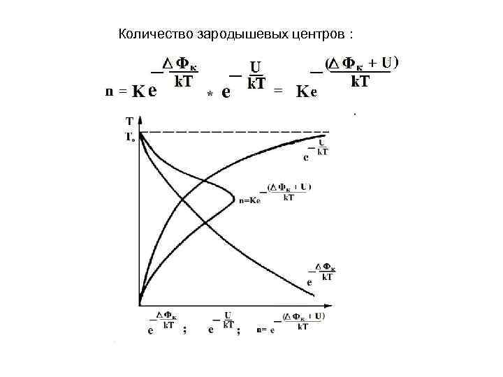 Количество зародышевых центров : 