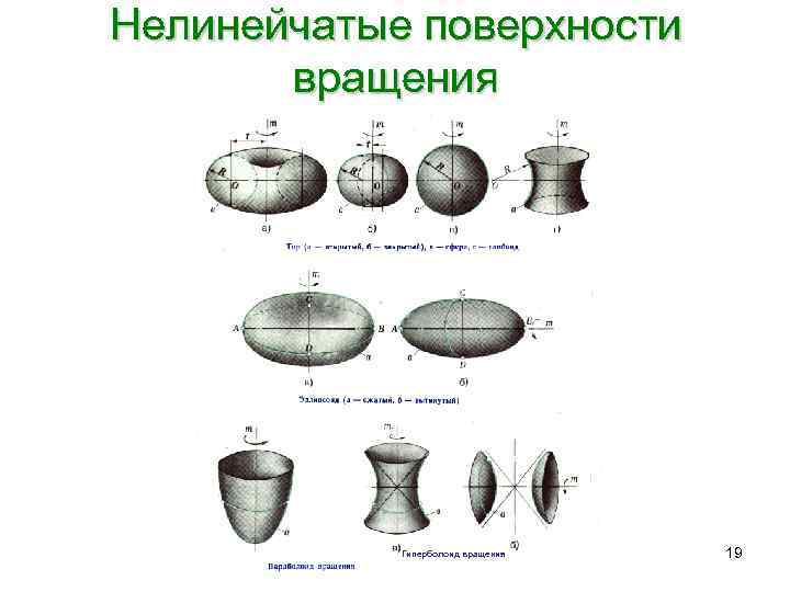 Нелинейчатые поверхности  вращения   Гиперболоид вращения  19 