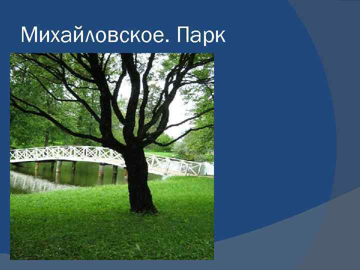 Михайловское. Парк 