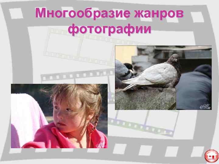 Многообразие жанров фотографии 
