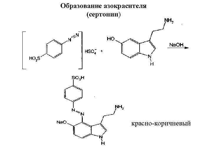 Образование азокрасителя  (сертонин)    красно-коричневый 
