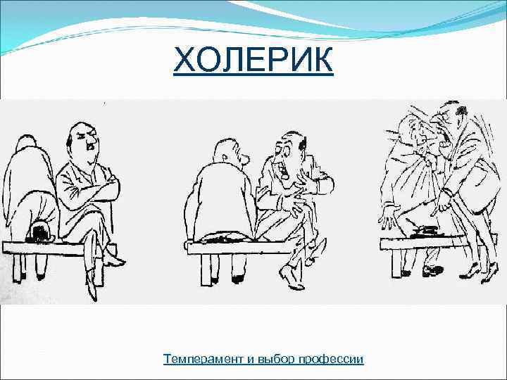  ХОЛЕРИК Темперамент и выбор профессии 