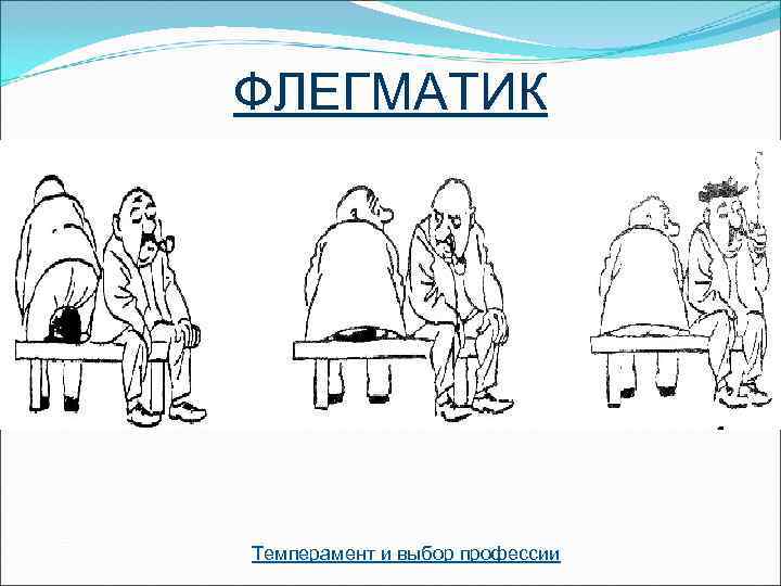 ФЛЕГМАТИК Темперамент и выбор профессии 