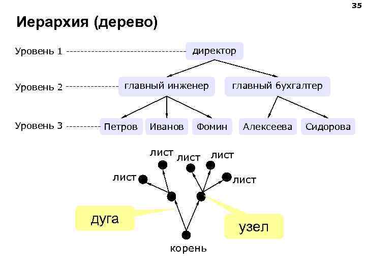 Уровень дерева. Дерево иерархии. Пример иерархического дерева. Дерево иерархий уровни. Иерархическая модель дерево.