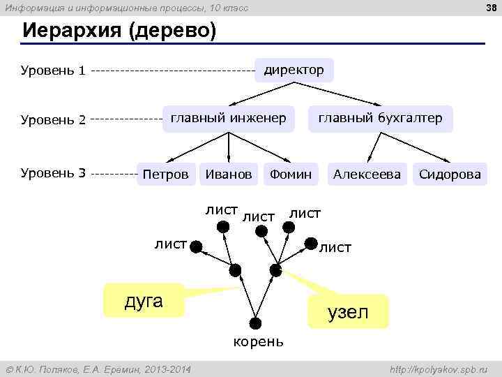 Информация и информационные процессы, 10 класс     38 Иерархия (дерево) 