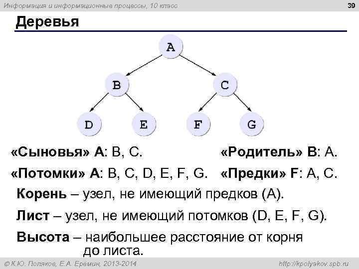 Информация и информационные процессы, 10 класс      39 Деревья 