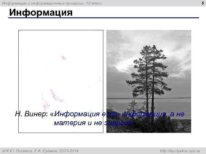 Информация и информационные процессы, 10 класс     5 Информация Латинский язык: