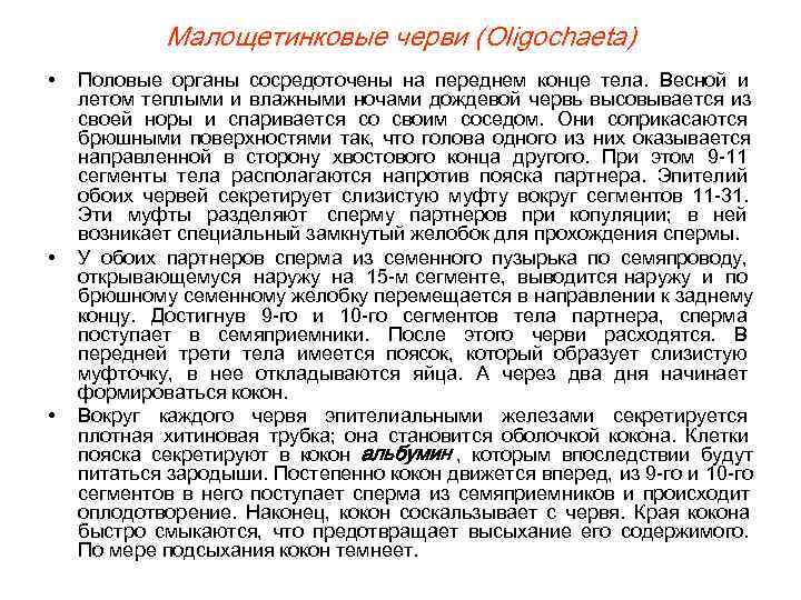   Малощетинковые черви (Oligochaeta) •  Половые органы сосредоточены на переднем конце тела.