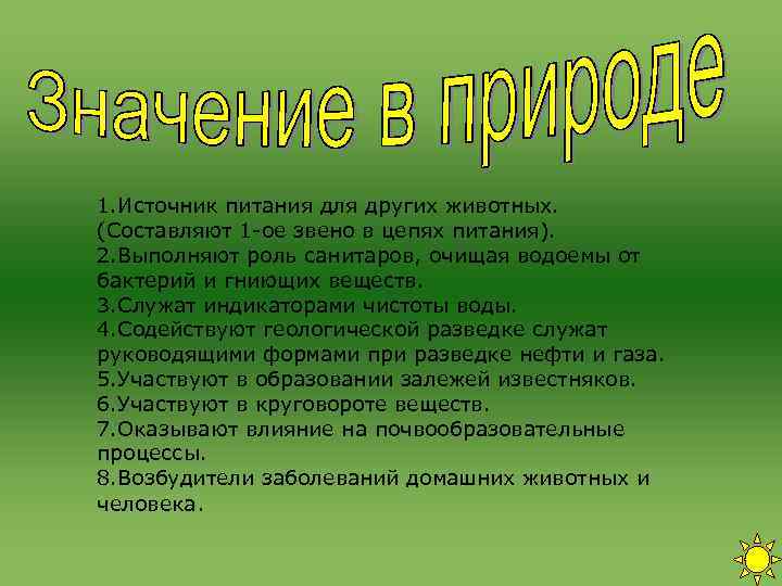 1. Источник питания для других животных. (Составляют 1 -ое звено в цепях питания). 2. 1. Источник питания для других животных. (Составляют 1 -ое звено в цепях питания). 2.
