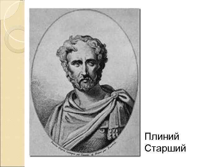 Плиний Старший 