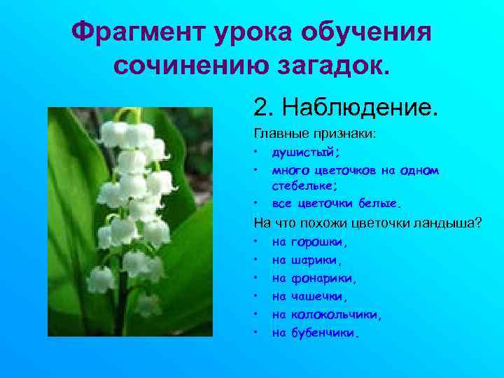 Фрагмент урока обучения  сочинению загадок.   2. Наблюдение.   Главные признаки: