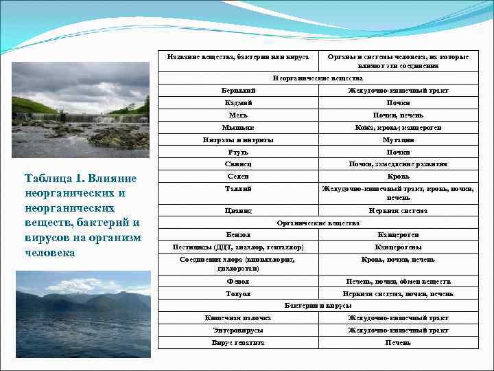     Название вещества, бактерии или вируса Органы и системы человека, на