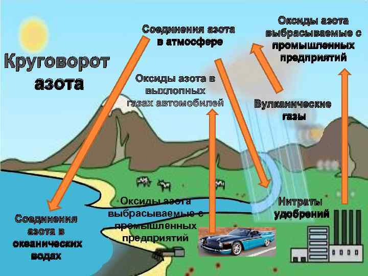        Оксиды азота     Соединения