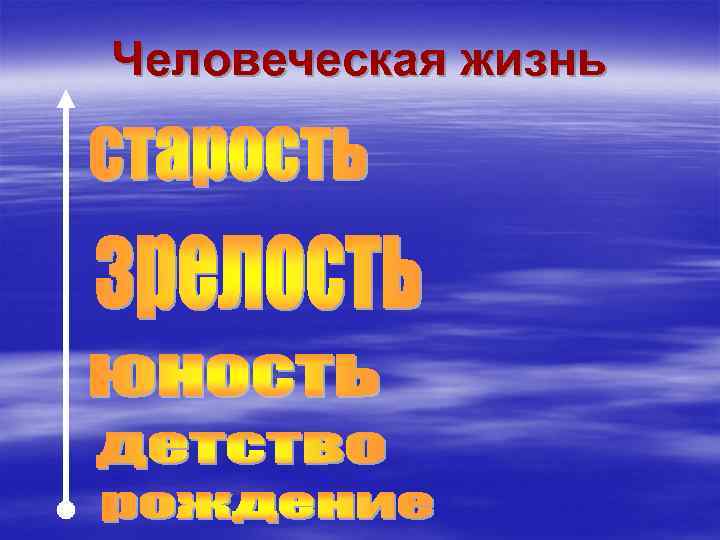 Человеческая жизнь 